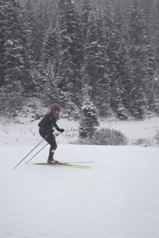 Rico auf der Langlauf-Loipe bei Schneefall in Davos