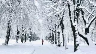 Frau spaziert in einer verschneiten Landschaft