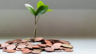 Pflanze wächst aus Münzen